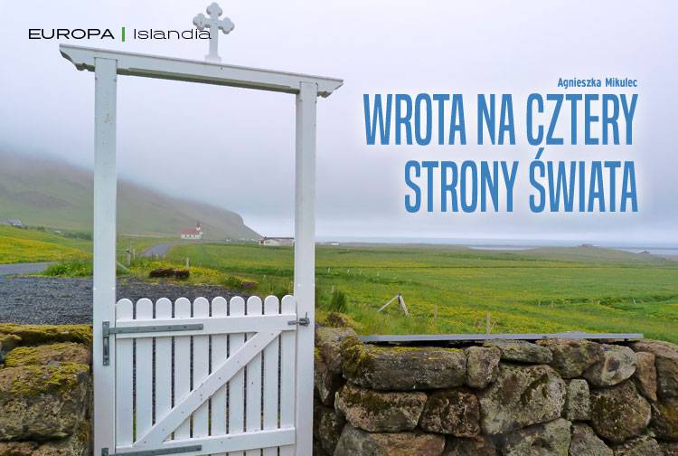 Losowy darmowy artykuł